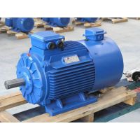  Y2VFƵ 0.55-315Kw-8