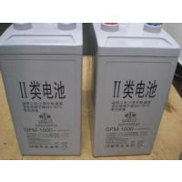 ˫6-GFM-24