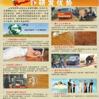 重庆品牌木地板代理***三杉木地板