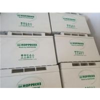 ¹HOPPECKEɱ?SBϵ