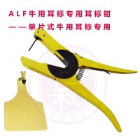 ָƬʽţöרAtagǯ ţöǯ