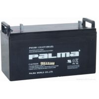 ر Ǧ12V100AH/PM100A-12 12V