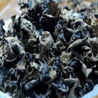 古田黑木耳批发产地直销秋耳肉厚朵圆远胜东北干货 碗耳厨房***