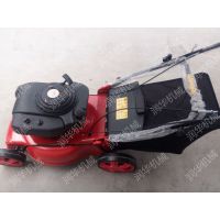 简易手推式草坪修剪机 润华绿化草坪剪草机 练球场杂草修剪机