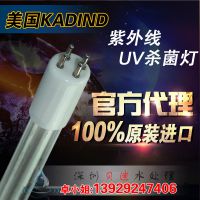 һKADINDɱ GHO843T5L UVɱ