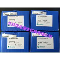 Abnova NGF (Human) ELISA Kit KA0399