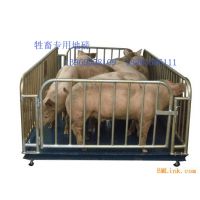 ϵذ200ֵذ۸񡿡ϵذάޡϵذ˾