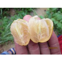 ˼é޺˻Ƥ īƤ ˫ɹ 18877788851