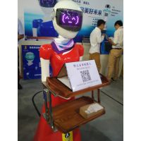 2017北京国际机器人展览会