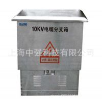 ϺǿƼֱ10KV·֧