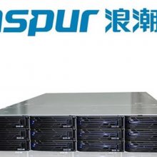 AS500H 3T*3 ˫8GB ˳洢 INSPUR