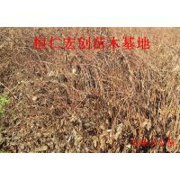 ζ硢ζС硢ζءζӻ