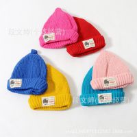 韩国儿童毛线帽批发2014冬季***男女童宝宝奶嘴贴标加厚毛线帽子