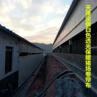 Ӧֱɫ͸ֳֳ겼