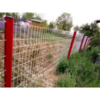 pչ(yng) T1.5*3LGɫFzW(wng)