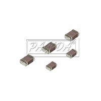 ƬݲNPO 1206 102 2KV K ***