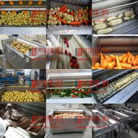 凯源直销自动荸荠去皮抛光机 摩擦式剥皮磨皮清洗机