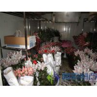 安徽鲜花保鲜贮藏 鲜花冷库组建 鲜花冷库造价【弗克制冷】