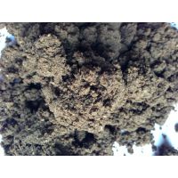 批发湿木薯渣 羊饲料 湖羊*** 安徽木薯渣饲料