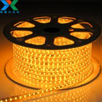 5050 RGB LEDƴ 60һ׸ѹ220V ѹƴ