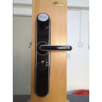 ***SCHLAGEܵ