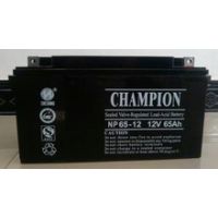 V|늳NP65-12/12V6***H/UPSgԴUSo