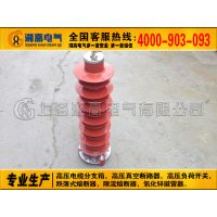 YH10WZ-100/260վ110KVп