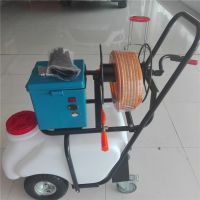 50LƵ綯ѹҩ ֱ