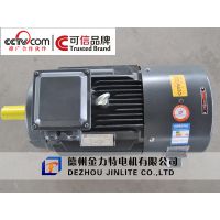 ӦYVF2-132M1-6-4KWƵ첽綯