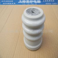 ZS-110/6ѹ֧Ե ZSW-110/10ѹ֧Ե220ǧԵ