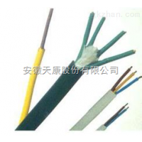 耐腐蚀电缆KFF,KFFR,KFGR,KGGRP-安徽天康集团股份有限公司