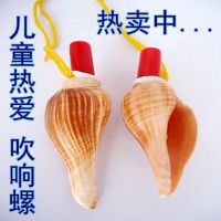 地摊热卖海螺贝壳吹响螺创业好项目儿童热爱创意玩具大量批发