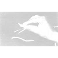 ۱ʻ|۱|͵»㸻ȷ۱(֤)