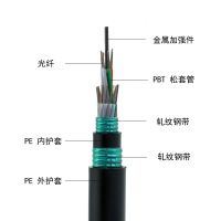 厂家直销防鼠耐磨双钢铠GYTS53 4芯单模光缆