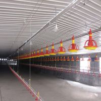 无轴螺旋弹簧蛟龙 蛟龙 山东地区养鸭自动上料线 养猪设备1