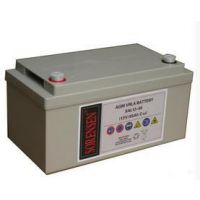 蓝肯蓄电池12V150AH
