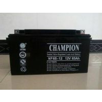 蓝肯蓄电池12V100AH