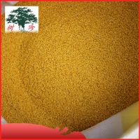 精选 有机黄小米 山西特产黄小米 绿色生态食品