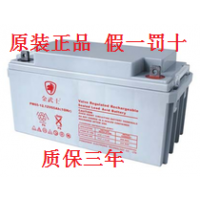 ʿ 12V6***H UPSϵԴ ӦԴƿ ʱ3 ֻӦ