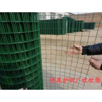 武汉 恩施 咸宁养殖场荷兰网 pvc围栏网 铁篱笆防护网