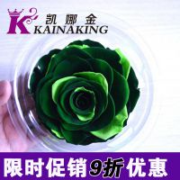 双色玫瑰花  哥伦比亚巨型进口 永生花保鲜花材配材高端创意礼品