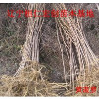Ʋ1硢Ʋ2С硢Ʋܻ