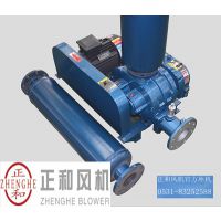 罗茨鼓风机保养,信阳罗茨鼓风机,正和罗茨鼓风机厂家