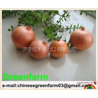 Ӧfresh red onion for sale