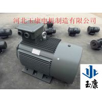 רҵY2ϵ첽Y2-180M/22KW-2첽綯