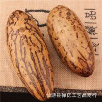 【禅亿】 非洲进口原料 千眼菩提原籽 天然原果通货 大量批发