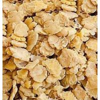 2015小型家用立式大豆挤扁机供应厂家