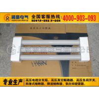 XRNP1-35-40.5KV/0.***-10A ѹ۶Ϲ