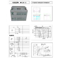 ǳ100AH12V۸