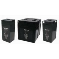 ϴ12V-14AH LBTά***
